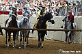 VBS_1122 - Palio di Asti 2024_1